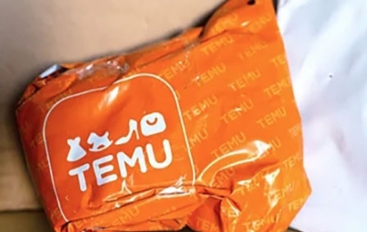 TEMU平台店铺成功起量四大部分运营秘籍